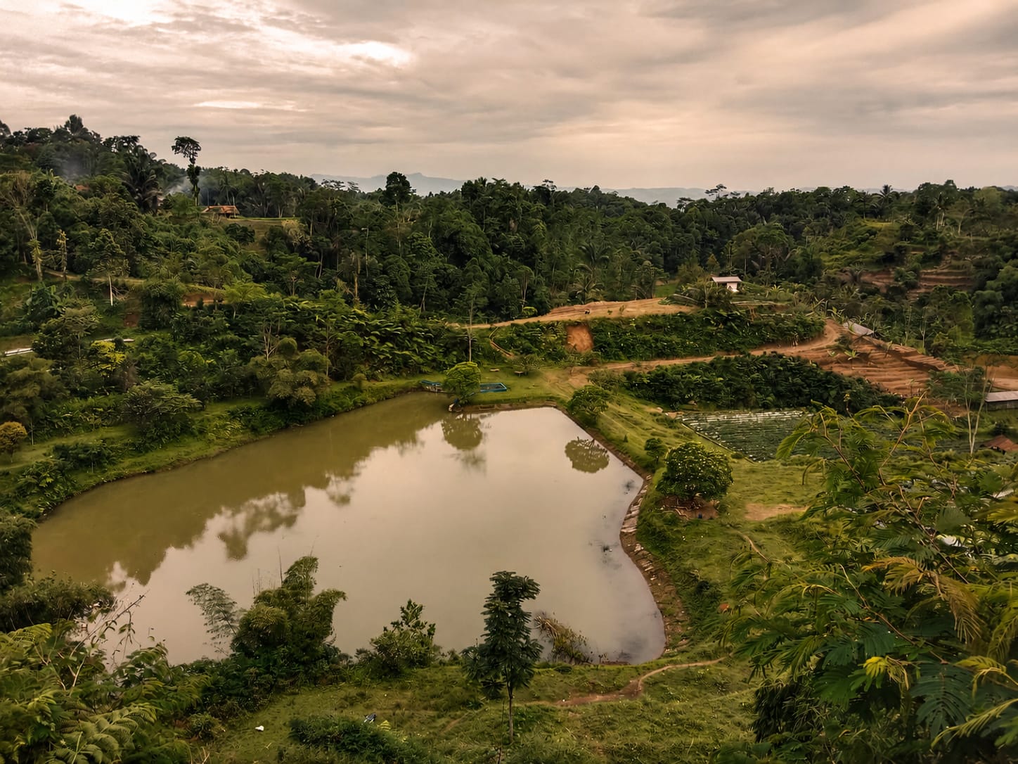 Situ Pangangonan